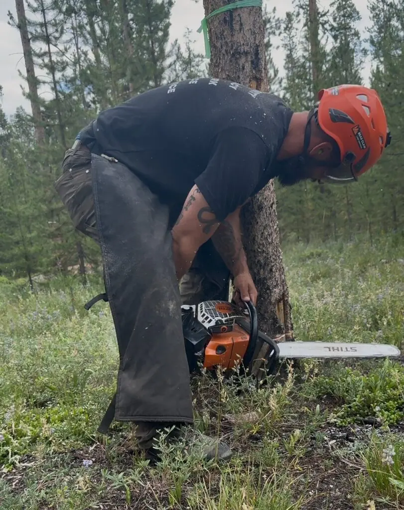 Brush clearing with chainsaw