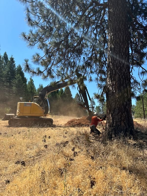 Fire mitigation vegetation clearing