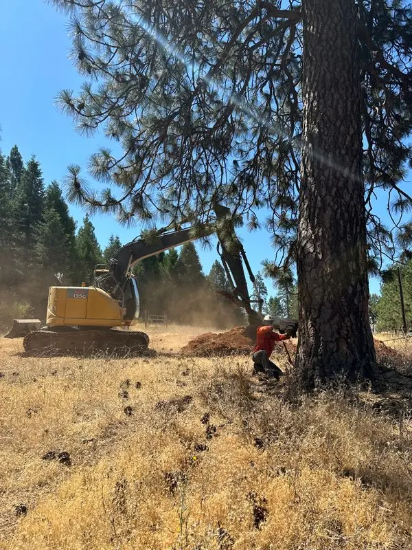Fire mitigation vegetation clearing