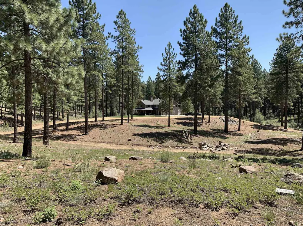 Wildfire mitigation on a cleared property